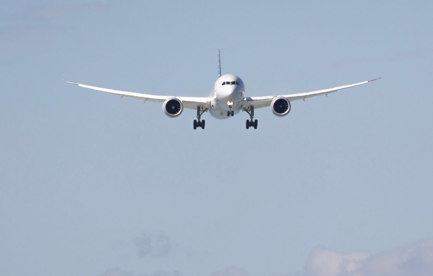 Un passager tente d’ouvrir la porte d’un avion de ligne en plein vol